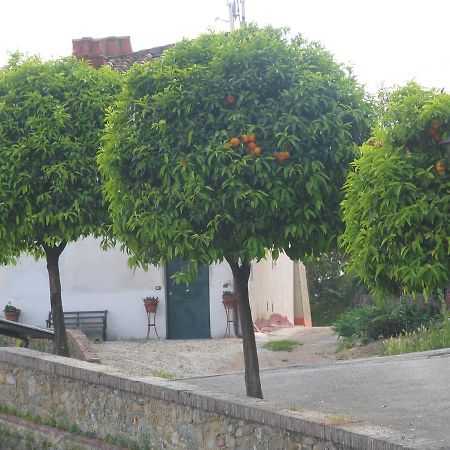 Hotel Tarabaralla Borgo a Buggiano Exterior photo